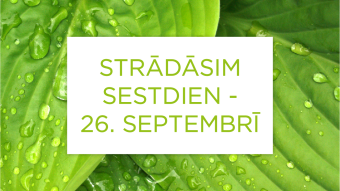 strādājam sestdien